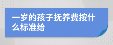 一岁的孩子抚养费按什么标准给