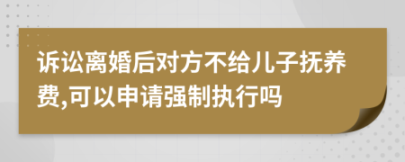 诉讼离婚后对方不给儿子抚养费,可以申请强制执行吗