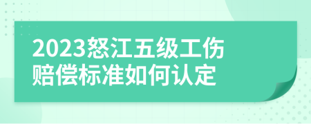 2023怒江五级工伤赔偿标准如何认定