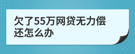 欠了55万网贷无力偿还怎么办