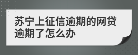 苏宁上征信逾期的网贷逾期了怎么办