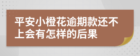 平安小橙花逾期款还不上会有怎样的后果