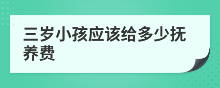 三岁小孩应该给多少抚养费