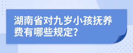 湖南省对九岁小孩抚养费有哪些规定？