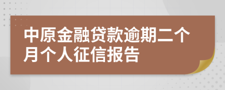 中原金融贷款逾期二个月个人征信报告