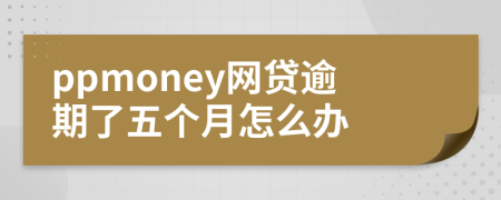 ppmoney网贷逾期了五个月怎么办