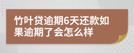 竹叶贷逾期6天还款如果逾期了会怎么样