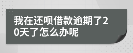 我在还呗借款逾期了20天了怎么办呢