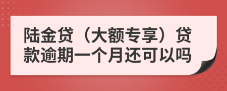 陆金贷（大额专享）贷款逾期一个月还可以吗