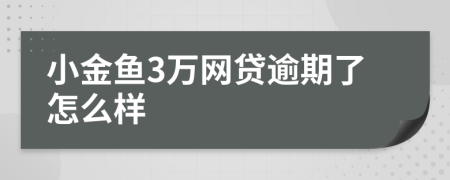 小金鱼3万网贷逾期了怎么样