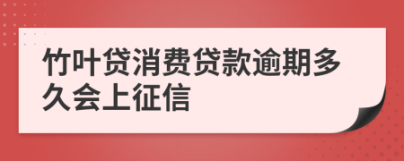 竹叶贷消费贷款逾期多久会上征信