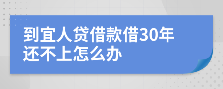 到宜人贷借款借30年还不上怎么办