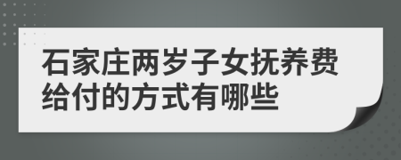 石家庄两岁子女抚养费给付的方式有哪些