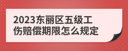 2023东丽区五级工伤赔偿期限怎么规定