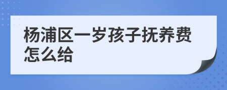 杨浦区一岁孩子抚养费怎么给