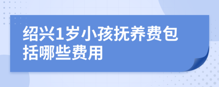 绍兴1岁小孩抚养费包括哪些费用