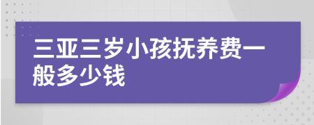 三亚三岁小孩抚养费一般多少钱