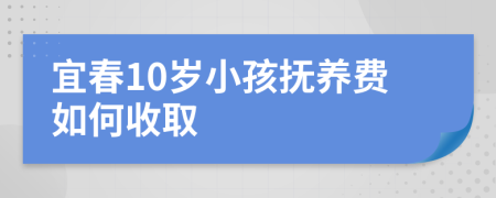 宜春10岁小孩抚养费如何收取
