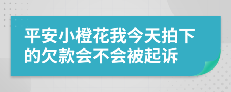 平安小橙花我今天拍下的欠款会不会被起诉