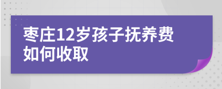 枣庄12岁孩子抚养费如何收取