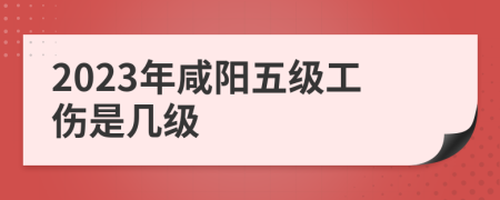 2023年咸阳五级工伤是几级