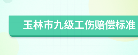 玉林市九级工伤赔偿标准