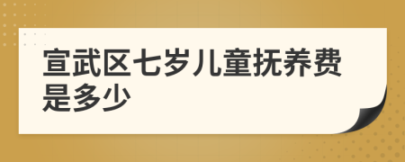 宣武区七岁儿童抚养费是多少