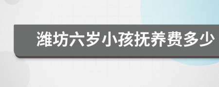 潍坊六岁小孩抚养费多少