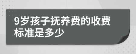 9岁孩子抚养费的收费标准是多少