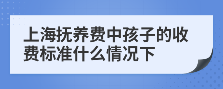 上海抚养费中孩子的收费标准什么情况下