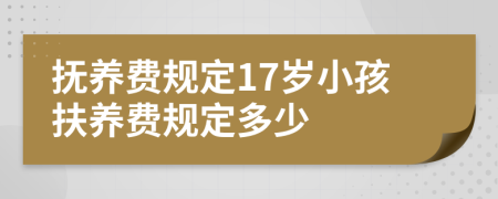 抚养费规定17岁小孩扶养费规定多少