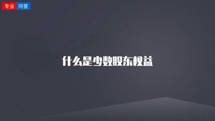 什么是少数股东权益