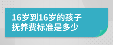 16岁到16岁的孩子抚养费标准是多少