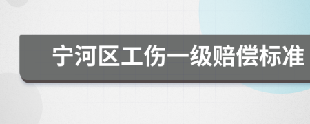 宁河区工伤一级赔偿标准