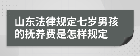 山东法律规定七岁男孩的抚养费是怎样规定