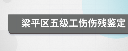 梁平区五级工伤伤残鉴定