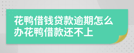 花鸭借钱贷款逾期怎么办花鸭借款还不上