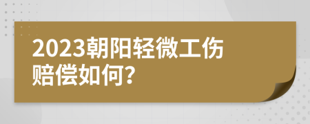2023朝阳轻微工伤赔偿如何？