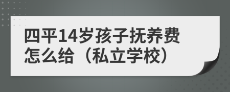 四平14岁孩子抚养费怎么给（私立学校）