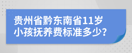 贵州省黔东南省11岁小孩抚养费标准多少？