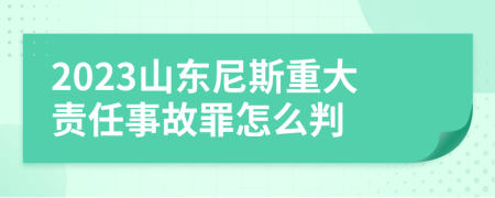 2023山东尼斯重大责任事故罪怎么判