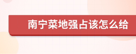 南宁菜地强占该怎么给
