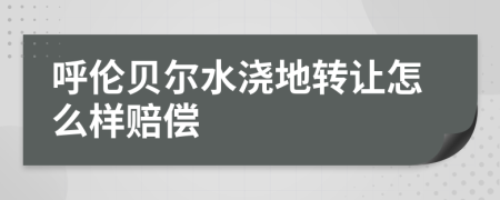 呼伦贝尔水浇地转让怎么样赔偿