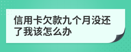 信用卡欠款九个月没还了我该怎么办