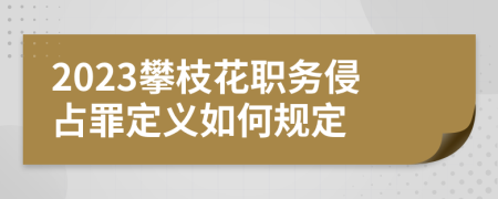 2023攀枝花职务侵占罪定义如何规定