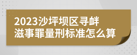 2023沙坪坝区寻衅滋事罪量刑标准怎么算