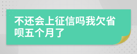 不还会上征信吗我欠省呗五个月了