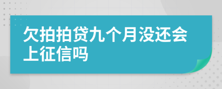 欠拍拍贷九个月没还会上征信吗