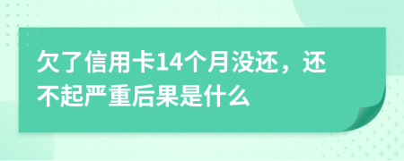 欠了信用卡14个月没还，还不起严重后果是什么