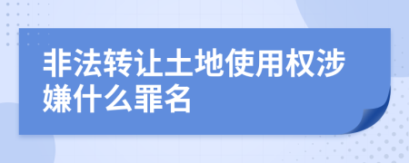 非法转让土地使用权涉嫌什么罪名